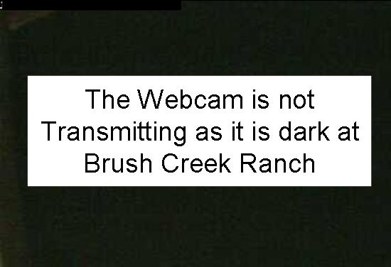 Brush Creek Ranch Barn Webcam